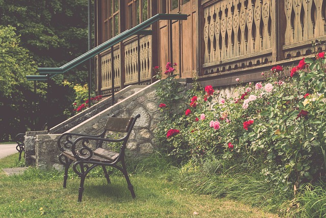 探讨阿尔特 探讨阿尔特